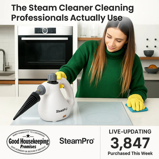 SteamPro Handheld Steamer